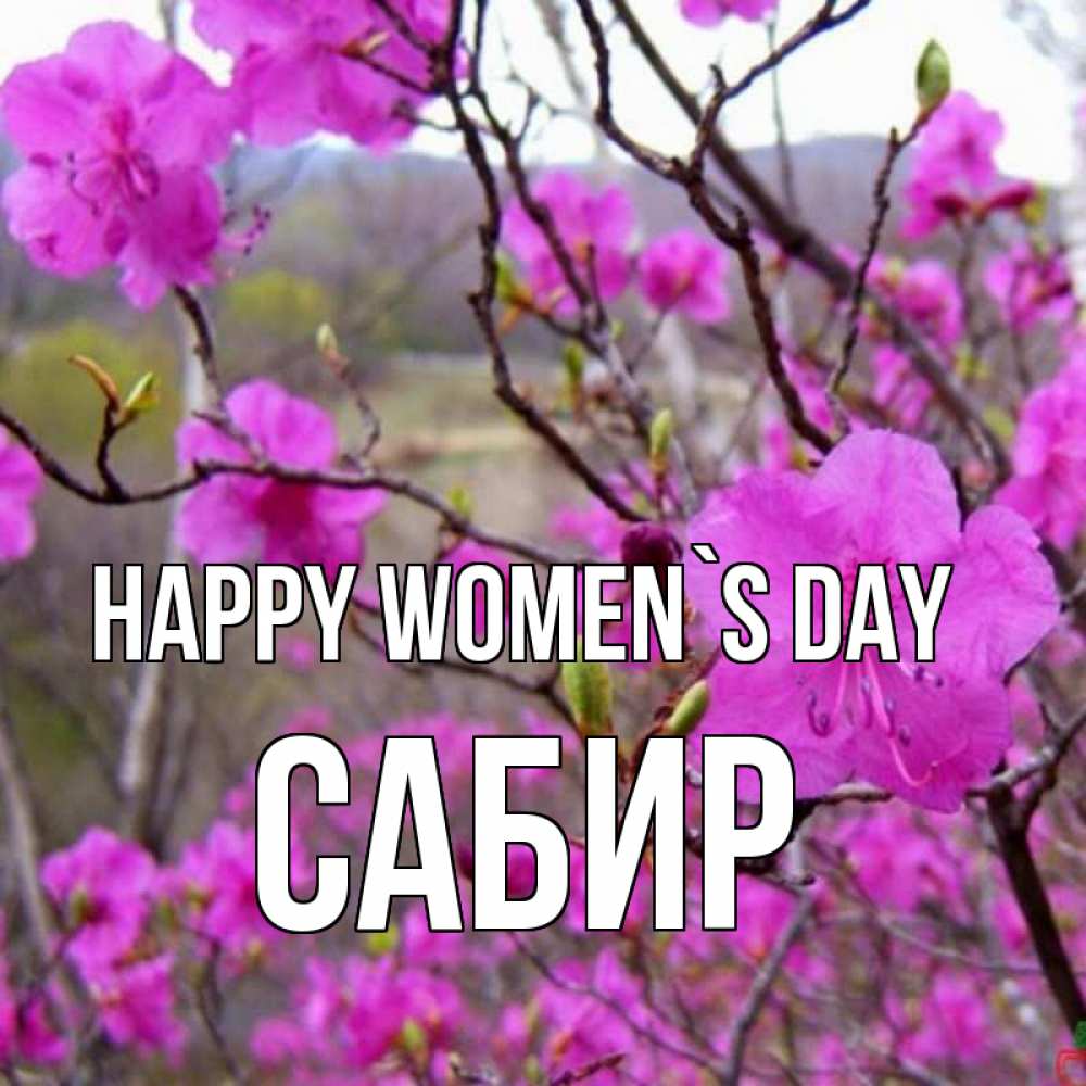 Greetings card с именем, Сабир happy women`s day международный женский день Greetings with text for free download 